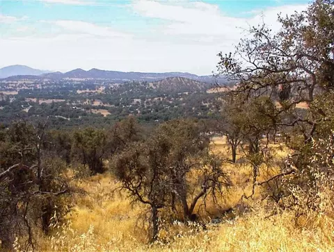 38 Recter Ln, Yokuts Valley, CA 93675 photo 11