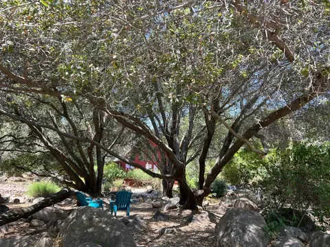 Exterior - 44575 S Fork Dr, Three Rivers, CA 93271 photo 7 of 14