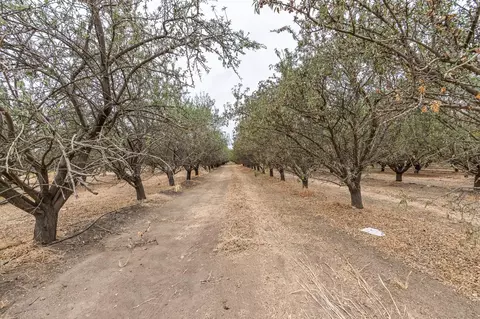 1 Rd 164, Earlimart, CA 93219 photo 9