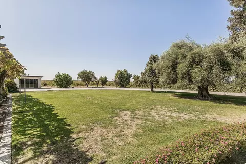 Exterior - 13155 W Shaw Ave, Kerman, CA 93630 photo 12 of 20