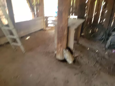 Other - 24771 Road 19, Madera, CA 93638 photo 9 of 14