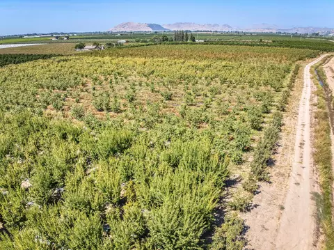 View/Area - 1 Tbd, Reedley, CA 93654 photo 15 of 16