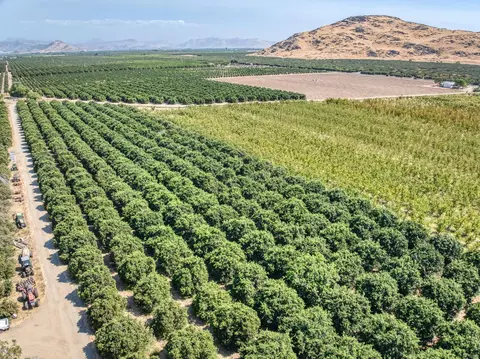 Other - 1 Tbd, Reedley, CA 93654 photo 2 of 4