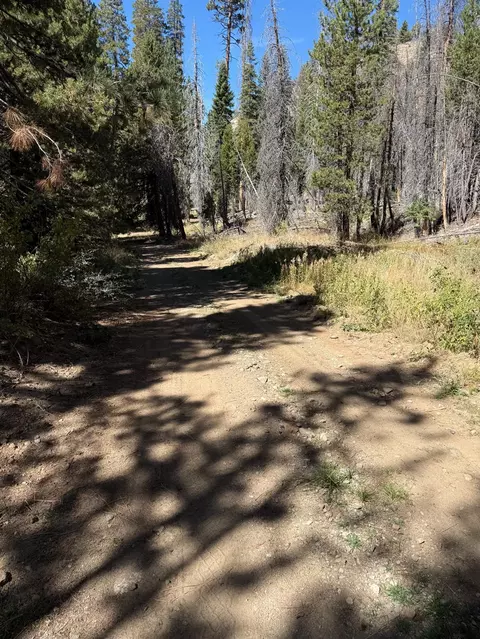 11 Strawberry, North Fork, CA 93643 photo 3
