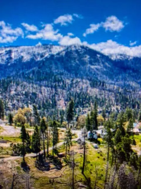 55277 Sunset Dr, Big Creek, CA 93605