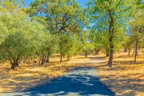 8 Blackberry Trl, North Fork, CA 93643 photo 5