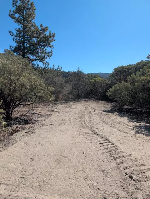 44138 E Kings Canyon Rd, Dunlap, CA 93621 photo 27