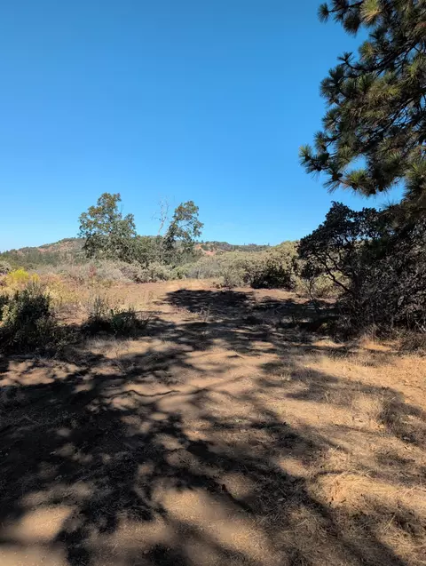 44138 E Kings Canyon Rd, Dunlap, CA 93621 photo 61