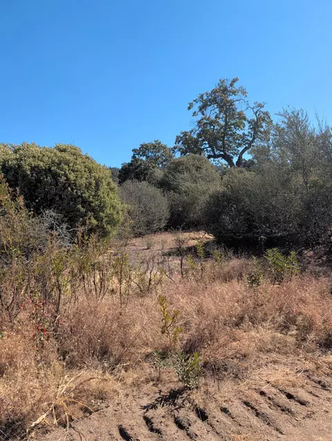 44138 E Kings Canyon Rd, Dunlap, CA 93621 photo 70