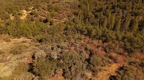 44138 E Kings Canyon Rd, Dunlap, CA 93621 photo 2
