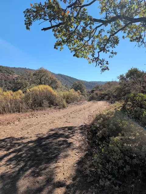 44138 E Kings Canyon Rd, Dunlap, CA 93621 photo 60