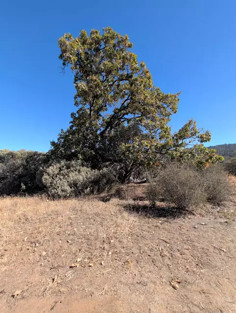44138 E Kings Canyon Rd, Dunlap, CA 93621 photo 48