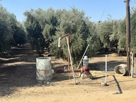 Exterior - 2183 S Highland Ave, Sanger, CA 93657 photo 6 of 6