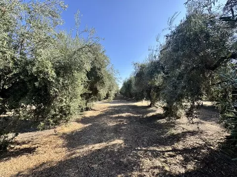 Exterior - 2183 S Highland Ave, Sanger, CA 93657 photo 3 of 6