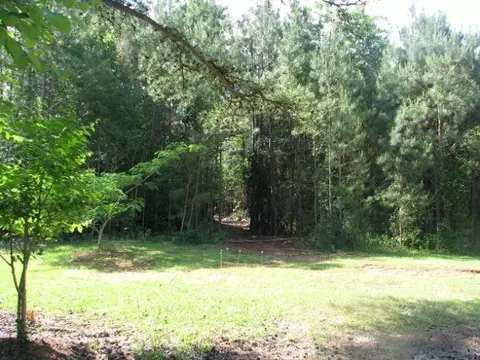 tbd Pear Tree Rd, Auburn, AL 36830 photo 1