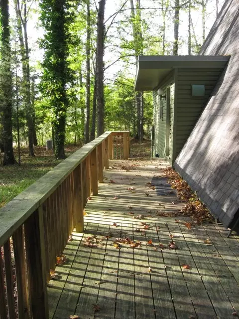3950 Lee Road 146, Auburn, AL 36830 photo 19