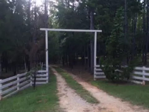 12359 Lee Road 188, Waverly, AL 36879 photo 3