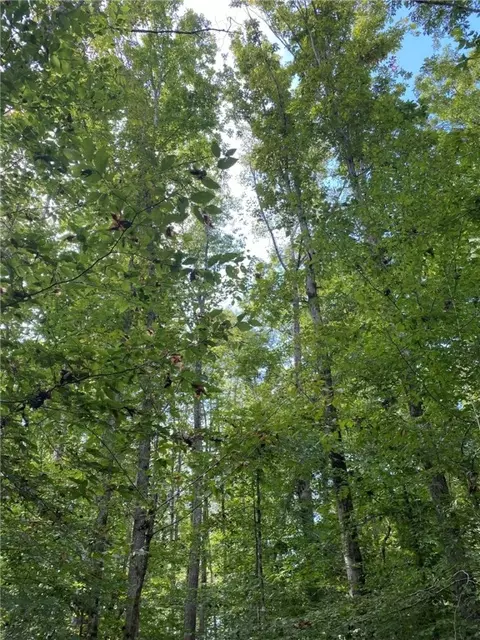 0 Robinson Rd, Alexander City, AL 35010