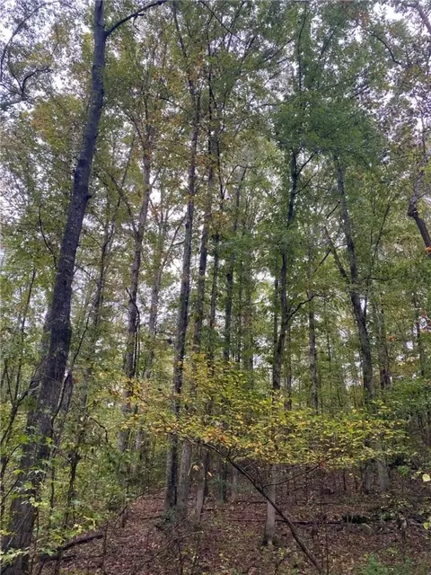 0 County Road 1, Alexander City, AL 35010