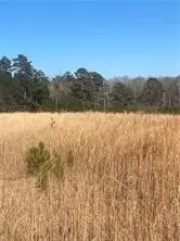 3495 Moores Mill Rd #3A13, Auburn, AL 36830