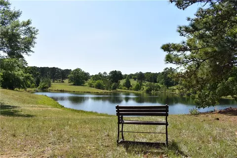 2815 Lee Road 401, Opelika, AL 36801 photo 9