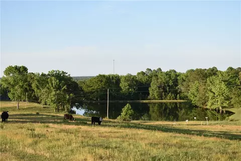 2815 Lee Road 401, Opelika, AL 36801 photo 8