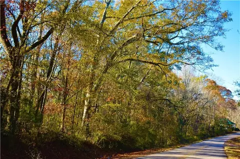0 Lee Road 93, Auburn, AL 36879