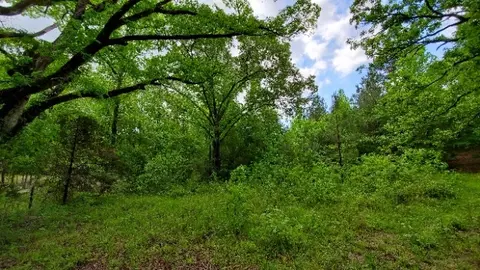 1009 Lee Road 651, Camp Hill, AL 36850