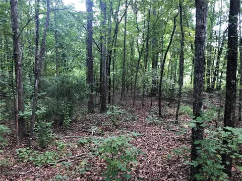 0 Lee Road 188, Auburn, AL 36879