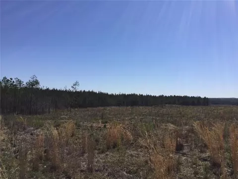 0 Lee Road 254, Salem, AL 36874