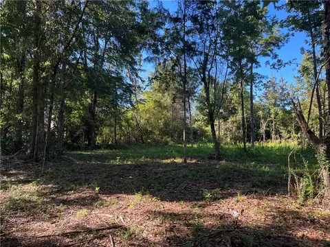 Lot 1 Fulton Street, Dadeville, AL 36853