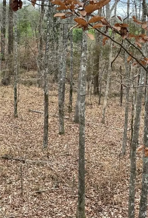 0 Lee Road 330, Smiths Station, AL 36877