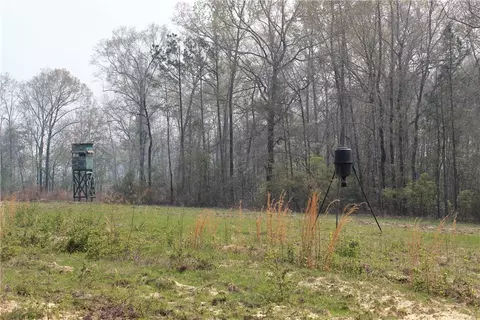 0 Fitzpatrick Rd, Tuskegee, AL 36083
