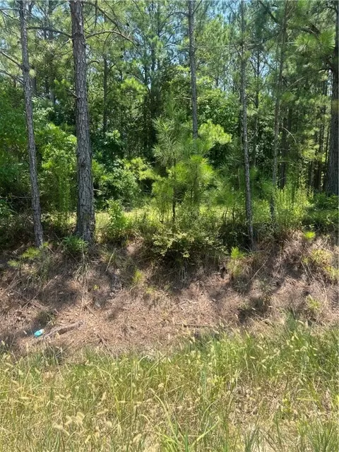 0 Lee Road 27, Opelika, AL 36804
