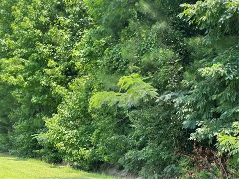Na Pleasant Springs Drive, Tuskegee, AL 36083