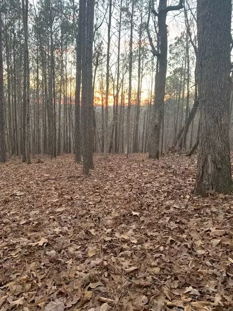 3820 Overlook Dr, Dadeville, AL 36853