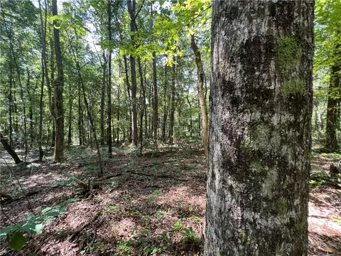 0 Ross, Camp Hill, AL 36850