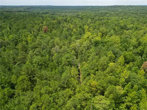 0 County Road 648, Waverly, AL 36879