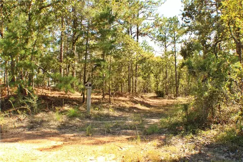 5583 Sandfort Rd, Seale, AL 36875