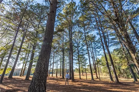 2358 County Road 281, Five Points, AL 36855 photo 39