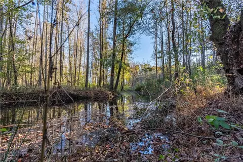 2358 County Road 281, Five Points, AL 36855 photo 42