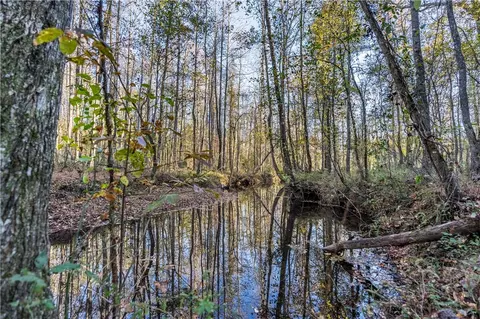 2358 County Road 281, Five Points, AL 36855 photo 41