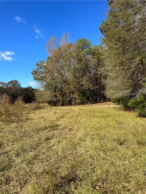 2327 Lee Road 183, Opelika, AL 36804 photo 7