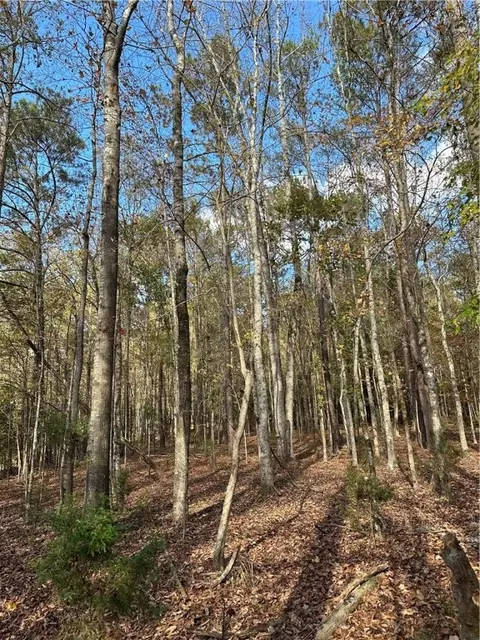 2327 Lee Road 183, Opelika, AL 36804 photo 6