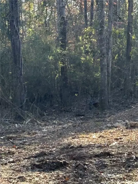 000 Lee Road 617, Auburn, AL 36832