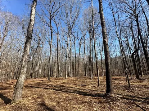 0 Lee Road 279, Salem, AL 36874