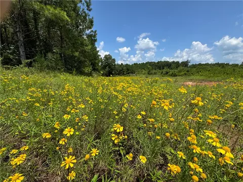 0 County Road 55, Camp Hill, AL 36850