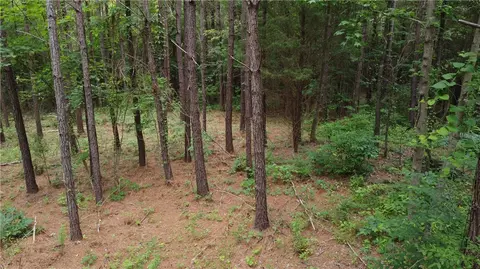 lot10 Lee Road 88, Auburn, AL 36879