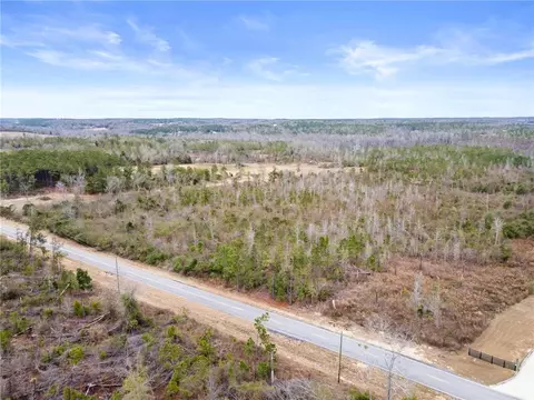 0 Lee Road 166, Opelika, AL 36804