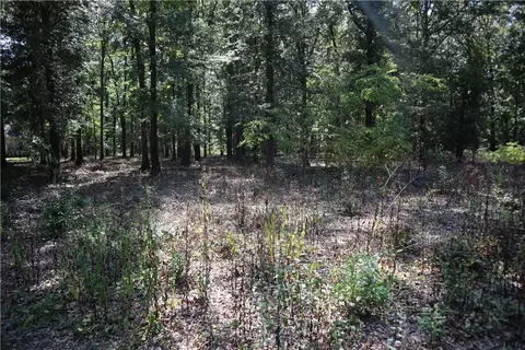 110 Shadow Moss Dr, Eufaula, AL 36027 photo 6